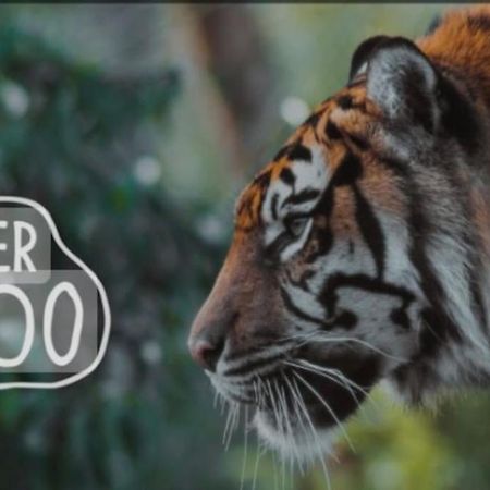 The Beautiful Bungalow Amazing Location For Chester & Zoo Wervin Eksteriør billede