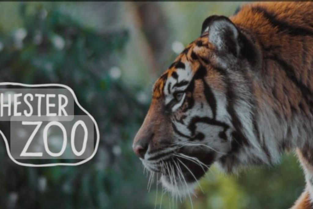 The Beautiful Bungalow Amazing Location For Chester & Zoo Wervin Eksteriør billede